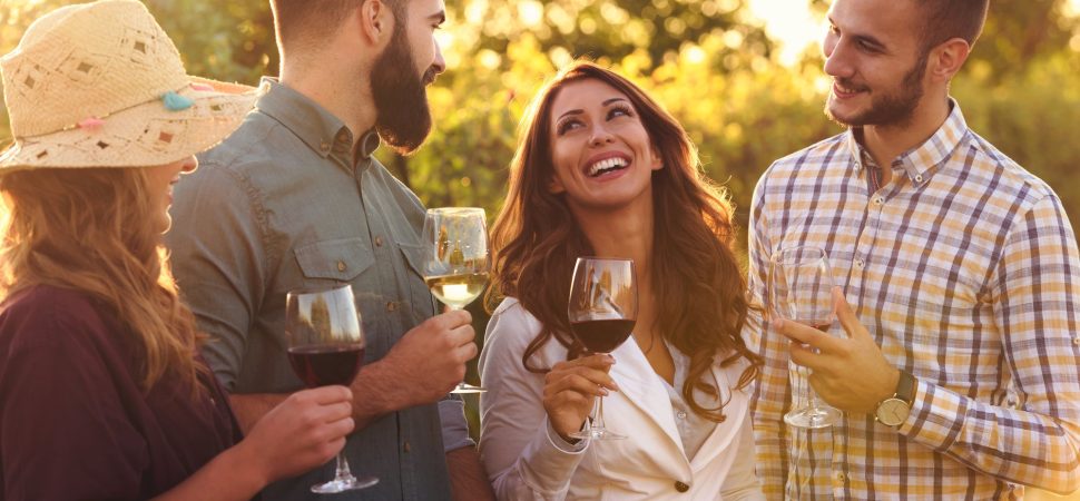 northern virginia wine tours